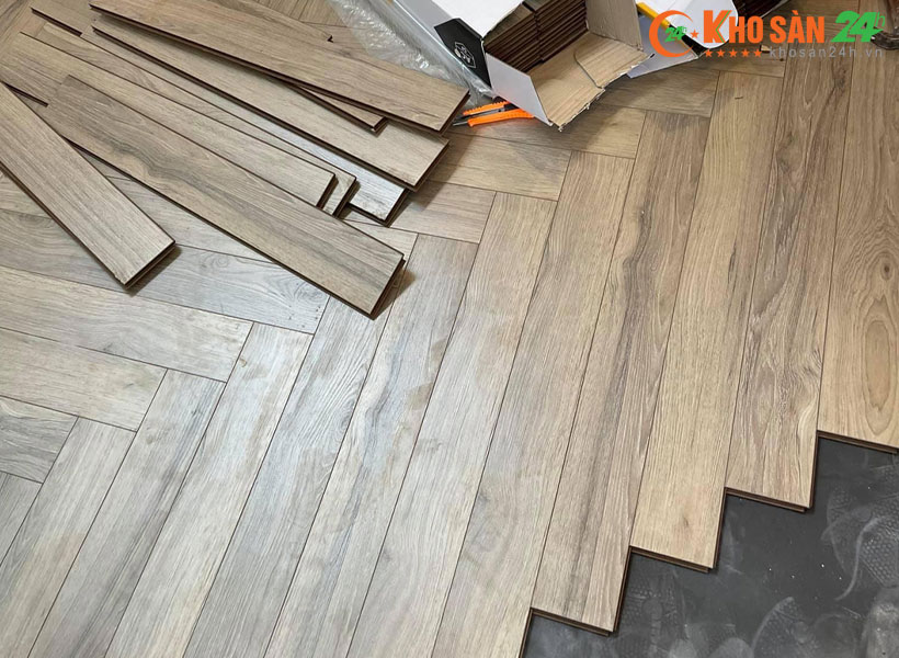 Sàn gỗ Clevel F683