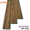 Sàn gỗ Grandee MF509